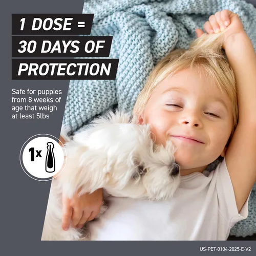 Vista 5 de FRONTLINE Shield - Tratamiento de pulgas y garrapatas para perros XS de 5 a 10 libras, cuenta de 3