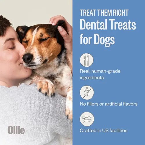 Vista 2 de Ollie Masticables dentales para perros extra pequeños, 12 onzas, aliento fresco, golosinas de limpieza de dientes, palos para el cuidado bucal