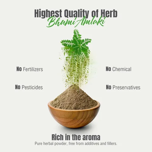 Vista 8 de HerbsForever Bhumi Amalaki Powder Phyllanthus Niruri Hierba ayurvédica para el bienestar, desintoxicación y vitalidad Sin OMG, vegano, sin