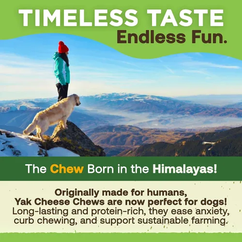 Vista 7 de EcoKind Premium Gold Yak Cheese Masticables para Perros del Himalaya, Premios para Perros de Raza Grande, Totalmente Natural, Alto en Proteínas