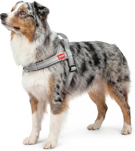 Vista 13 de Arnés para perro sin tirón con asa, chaleco reflectante ajustable Corgi, arnés para mascotas acolchado con malla de aire transpirable con clip