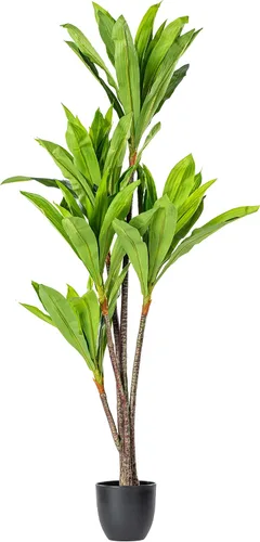 Vista 5 de Vickerman T160930 Real Touch Dracaena Árbol en maceta, 30