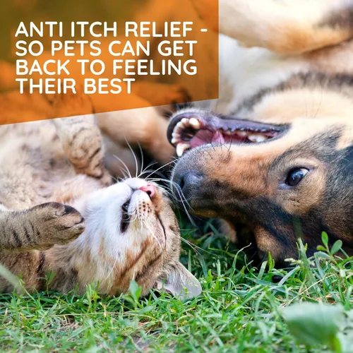 Vista 3 de T-Relief - Gotas de apoyo para alergias de mascotas para perros y gatos, alivio de la picazón, apoya la piel y el pelaje saludables, la medicina