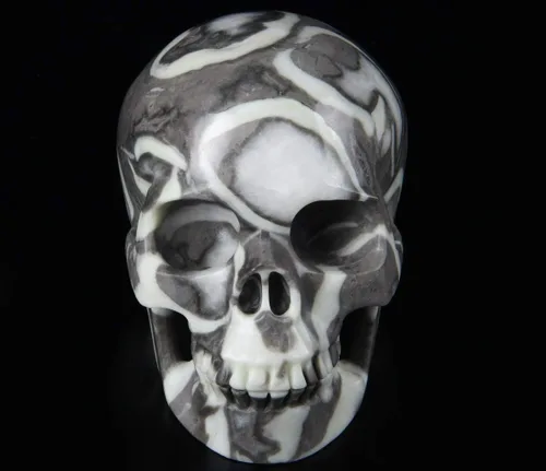 Vista 3 de Skullis Cráneo de cristal fósil raro de 2.0 pulgadas, escultura de arte fino de piedras preciosas talladas a mano, estatua de piedra curativa