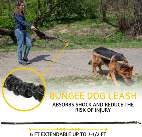Vista 3 de ADITYNA - Correa elástica táctica para perro, 6-7.5 pies, perros medianos, grandes y XL Shock-absorbing bungee leash with 2 padded handles, metal