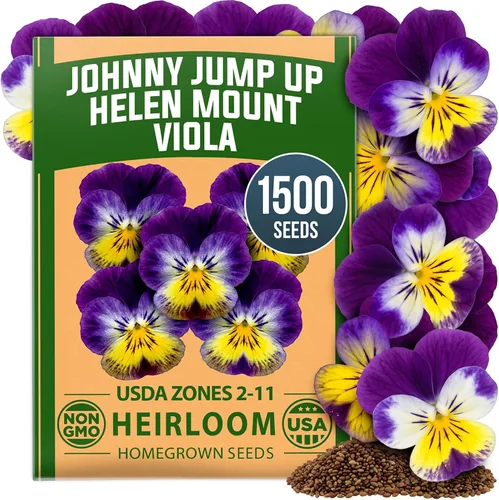 Vista 52 de HOME GROWN Bachelor Button Tall Mix 700+ Semillas de flores Centaurea