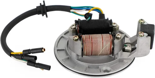 Vista 5 de Placa de estátor magnética de 6 cables para muchos niños chinos, mini cuatrimoto, motocross, motocross, motocross, go-kart/buggys/monkey/DAX Lifan