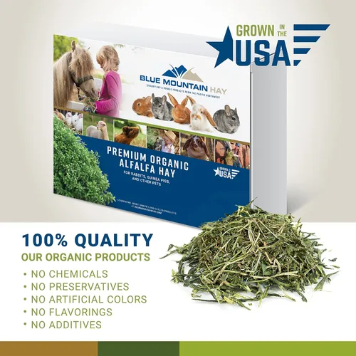 Vista 6 de Blue Mountain Hay Heno de alfalfa orgánica de alta altitud (5 libras), fibra de alta proteína y rico en minerales, textura frondosa suave con alta