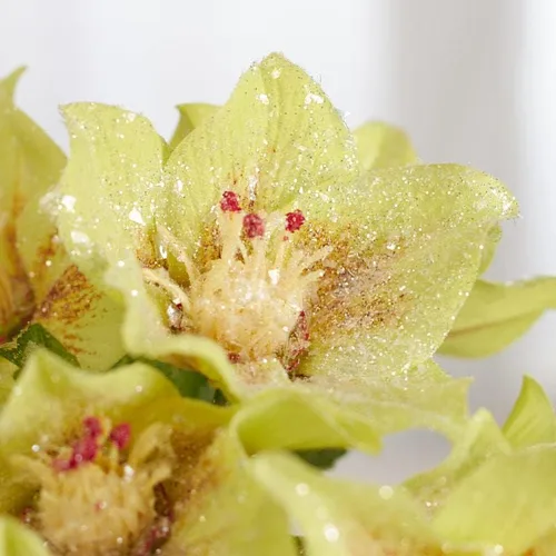 Vista 2 de Factory Direct Craft Arbusto de rosas artificiales de Navidad de Hellebores verdes – Rosas de Navidad de seda para arreglos florales y decoraciones