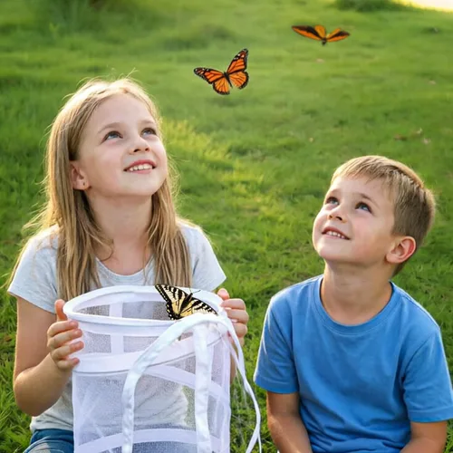 Vista 5 de Pop Up jaula del hábitat de la mariposa, terrario transparente plegable