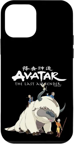 Vista 15 de iPhone 11 Pro Max Avatar: El último Airbender La Gang Case