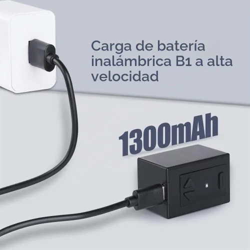 Vista 4 de Dragonhawk B1 RCA - Fuente de alimentación inalámbrica de batería