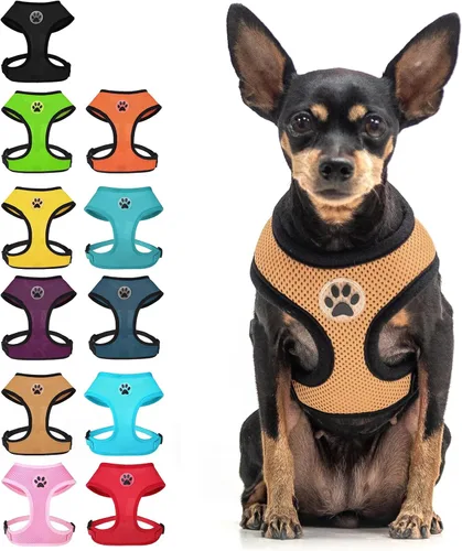 Vista 10 de BINGPET Arnés para perro sin tirones, arnés de chaleco tipo step-in de malla para todo clima para perros pequeños, arnés de malla transpirable