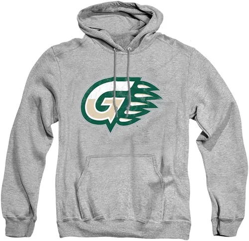 Vista 97 de Distressed College Primary Logo Adult Pullover Hoodie Collection 1 Universidad Estatal de Albany