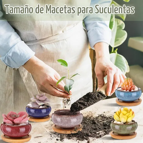 Vista 5 de 24 macetas pequeñas para suculentas de 2.5 pulgadas