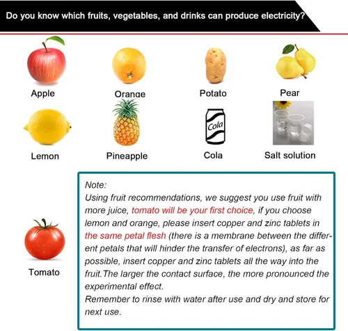 Vista 2 de Kit de experimento de batería de frutas EUDAX para equipo de enseñanza escolar y en casa de bricolaje, kit de proyecto de ciencia de reloj