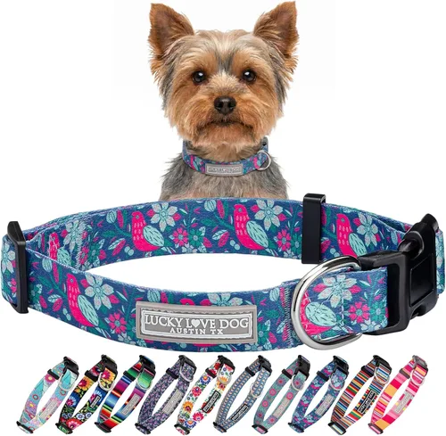 Vista 50 de Lucky Love Dog - Collar para perras pequeñas, diseño Blackbird de estampado alegre con flores de primavera y verano, talla XS Collar Blackbird