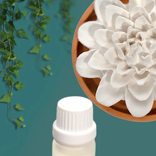 Vista 9 de SINT Piedra aromática de diatomita, difusores de cerámica no eléctricos y fragancia de aromaterapia, difusores de cerámica blanca para decoración