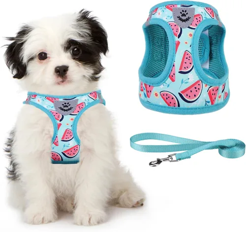Vista 11 de Arnés de malla suave para cachorros – Juego de arnés y correa para perros pequeños, ajustable y cómodo chaleco reflectante acolchado para cachorros