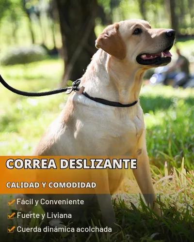 Vista 5 de lynxking Correa Deslizante para Perros de 5 6 8 PIES Correa de Entrenamiento para Perros Resistente de Servicio Pesado Trenzada Sin Tirones Correa