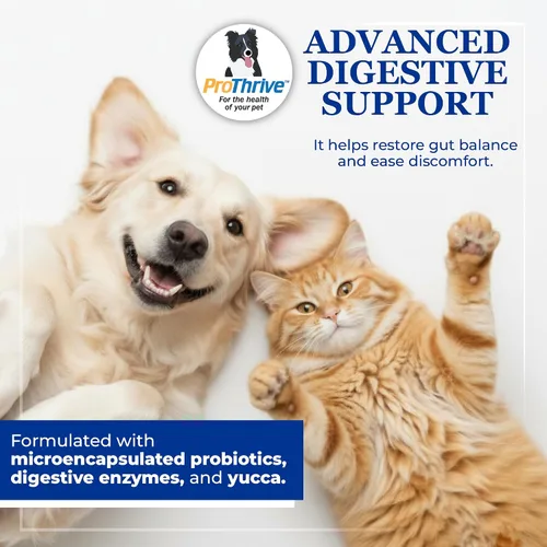 Vista 3 de Soluciones de Salud Animal Probióticos Digestivo Eze Pasta Perros Gatos 15gm