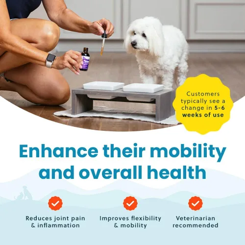 Vista 6 de Paramount Pet Health Glucosamina totalmente natural para perros – 260 mg de glucosamina para perros pequeños – Suplemento líquido