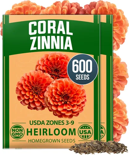 Vista 22 de HOME GROWN - Semillas de zinnia rosadas – 600 Zinnias Luminosa de 0.02 oz, semillas de flores anuales fáciles de cultivar para plantar al aire libre