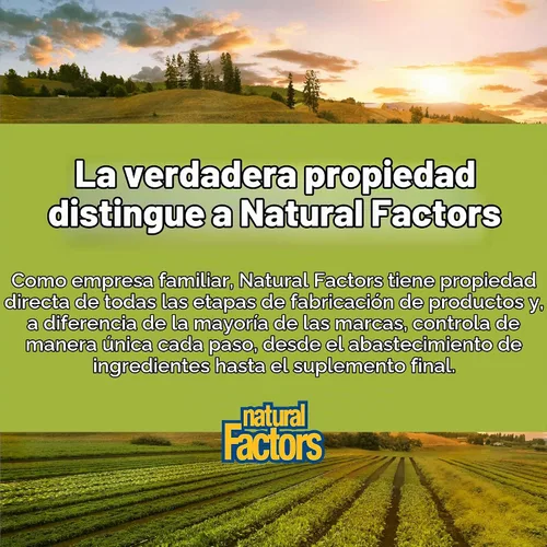 Vista 7 de Natural Factors DGL Masticable - Suplemento de apoyo digestivo con extracto de raíz de regaliz - Tabletas masticables que apoyan el revestimiento
