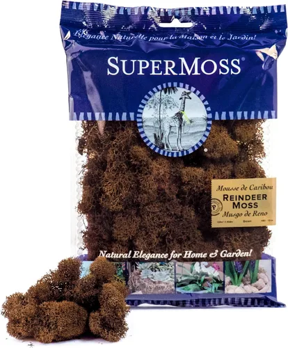 Vista 46 de Super Moss (23164) Musgo de reno preservado, fucsia, 2 onzas Musgo preservado suave, decoración del hogar, manualidades y terrarios, diseño
