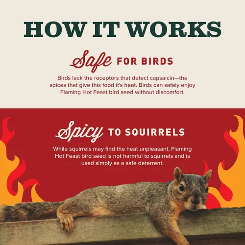 Vista 6 de Mr. Bird Flaming Hot Feast - Paquete de 6 pasteles pequeños de semillas de aves silvestres, 4 onzas Premium Blend of Mealworms, Peanuts & Hot