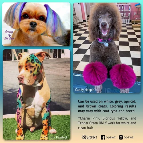 Vista 2 de OPAWZ Tinte permanente para el pelo de los perros, tinte para el pelo de las mascotas utilizado de forma segura por salones de aseo durante una