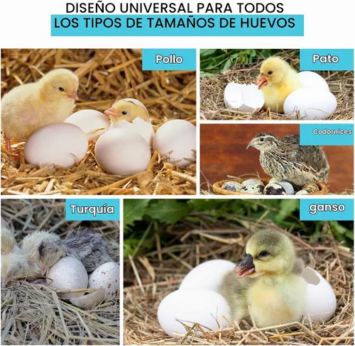 Vista 6 de IncuTurn™ Turner automático de huevos para incubadoras de huevos HovaBator (Solo volteador de huevos)