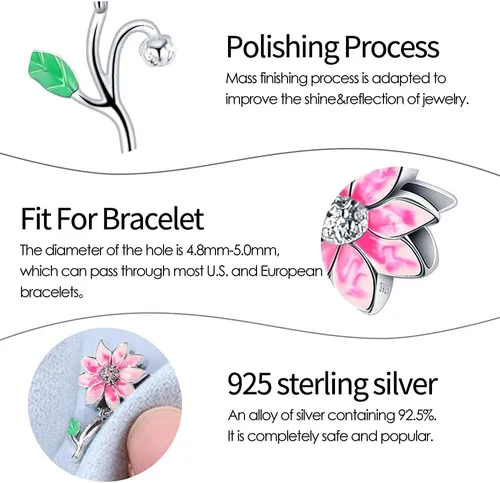 Vista 4 de Pandach Dijes de plata de ley 925 para pulsera y collar, colgante con piedras de circonita cúbica 5A, cuentas de joyería, regalos para mujeres