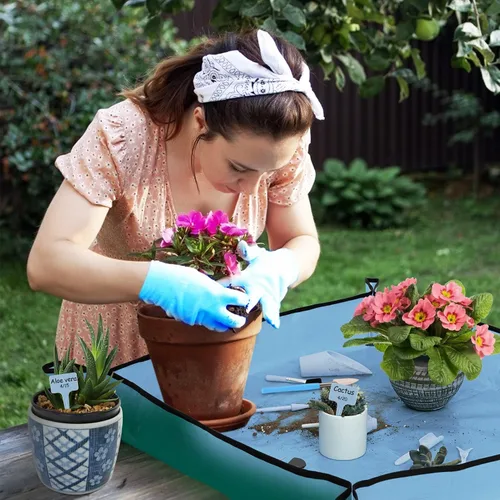 Vista 2 de Juego de 20 herramientas de jardinería pequeñas, regalos para mujeres principiantes, juego de herramientas de mano de jardín para trasplante de Azul