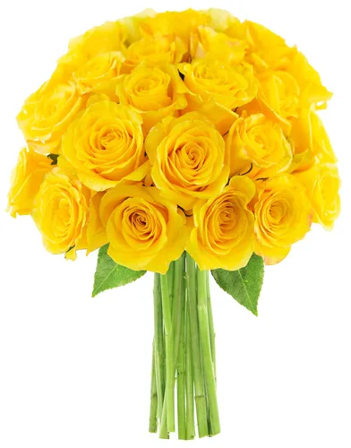 Vista 70 de KaBloom - Rosas arcoíris (media docena)- Flores frescas para cumpleaños, San Valentín y Día de la Madre