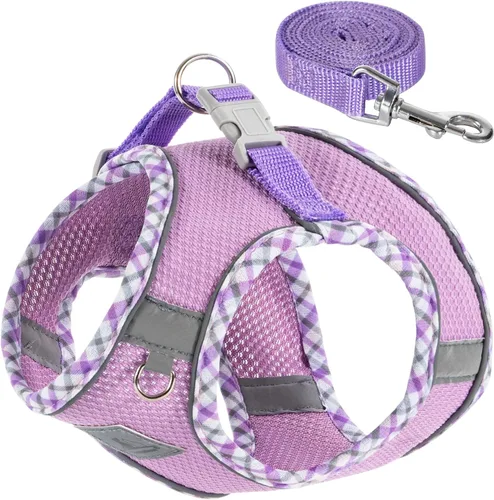 Vista 8 de Juego de arnés y correa para perro, arnés sin tirones para perros pequeños, fácil caminar, suave y transpirable, arnés para perros pequeños, arnés