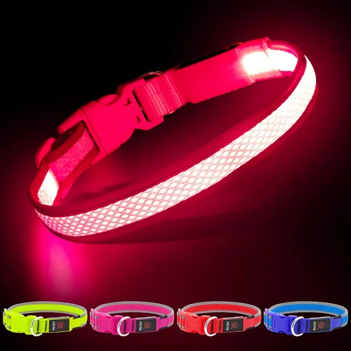 Vista 7 de YFbrite - Collar para perro con luz, collar de perro LED recargable por USB, luces súper brillantes para caminar por la noche, collar de perro