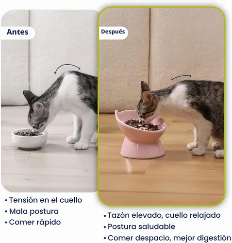 Vista 5 de PawsPik Lynx - Cuenco elevado de cerámica para perros y gatos, color rosa Quartz rosa