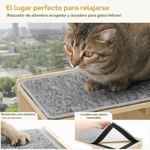 Vista 6 de Pecute - Percha para ventana de gato 2 en 1 y estantes de pared, hamaca