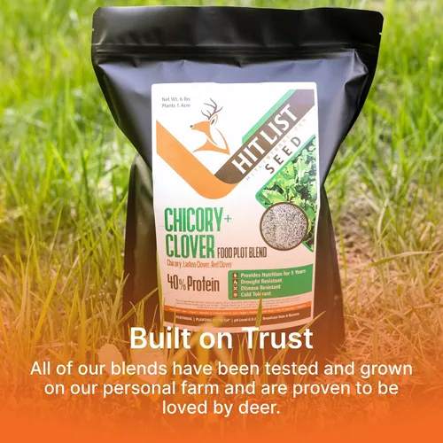 Vista 5 de HIT LIST SEED® Semillas de parcela de achicoria + trébol para ciervos [perennes] – Semillas perennes para parcelas de ciervos – Mezcla de semillas