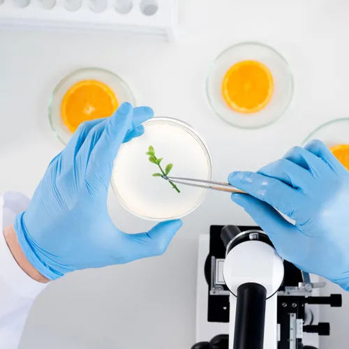 Vista 8 de Generic Placas de agar prevertidas, placas de agar nutrientes, placas de Petri con suministros de experimentos científicos para uso en el aula