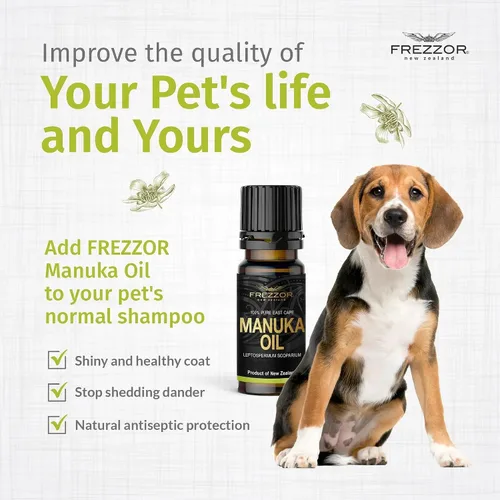 Vista 8 de FREZZOR East Cape Manuka Aceite 100% puro natural, destilación de vapor de alto grado. Aceite esencial para cuidado personal, acné y aromaterapia
