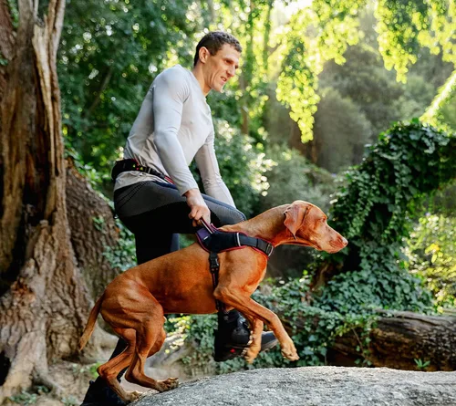 Vista 6 de Rogz Arnés deportivo para perros AirTech