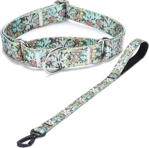 Vista 49 de Collar de perro de nailon resistente, collar ajustable de martingala para perros para caminar y entrenamiento para perros machos y hembras perros