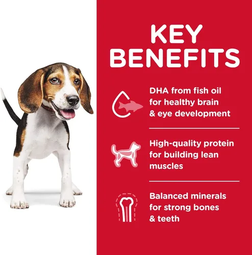 Vista 13 de Hill's Science Diet, Alimento Seco para Perro Desarrollo Saludable para Cachorros, Trozos pequeños