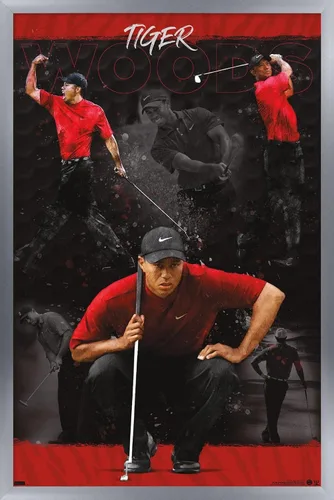 Vista 11 de Trends International Tiger Woods - Póster de pared de bosquejo, 14.725 x 22.375 pulgadas, versión enmarcada de madera de granero