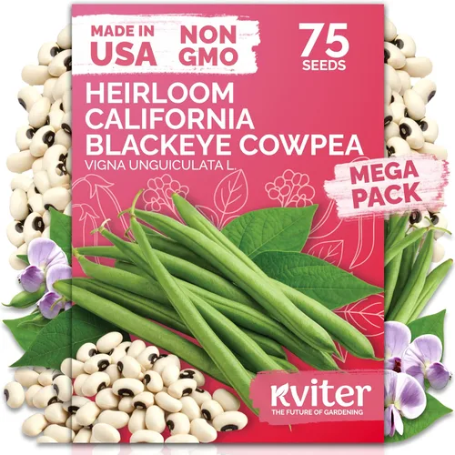 Vista 32 de KVITER 50 semillas de calabaza de azúcar orgánicas (Cucurbita Pepo) – Semilla de calabaza pequeña reliquia, carne dulce de grano fino para enlatar