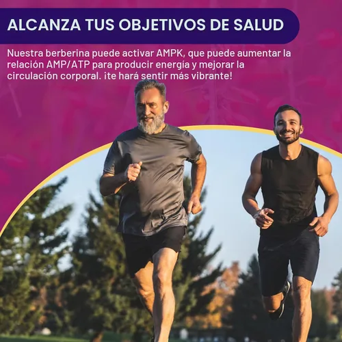 Vista 5 de ZEBORA Suplemento Premium de Berberina HCL 1200 mg, Apoyo de Berberina GLP-1 con Canela de Ceilán, ALA y Ácido Cáprico, Apoyo Inmune y Antioxidante