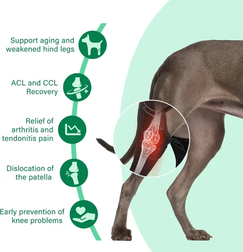 Vista 3 de Rodillera para perro para pierna trasera, soporte de pierna trasera después de una cirugía de ACL CCL desgarrado, con conector de hierro triangular