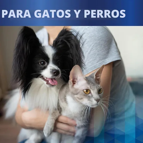Vista 7 de Clenz-A-Dent ProDen PlaqueOff - Copos de salud bucal para perros y gatos, aceptados por VOHC, apoya el control de placa y sarro, refresca
